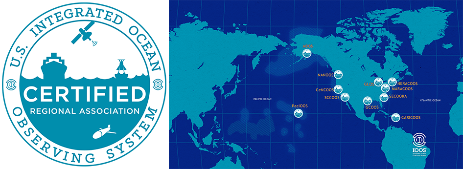 Lefthand shows RICE graphic, right is world map showing locations of RICEs