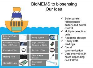 BioMEMS slide from Ignite presentation