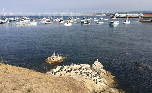 View across Monterey Bay