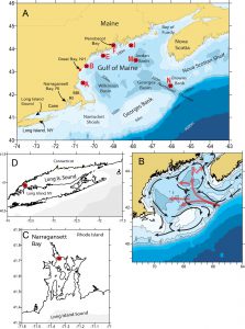 Northeast Atlantic Coastal and Ocean Observing System (NERACOOS) Northeast Nutrient Observatory FY14 OTT Projects HABs and Hypoxia Nutrient monitoring sites throughout the Northeast Nutrient monitoring sites throughout the Northeast.