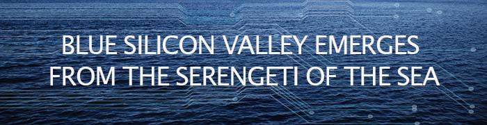 Graphic banner for Blue SIlicon Valley town hall