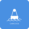 CariCOOS App Icon