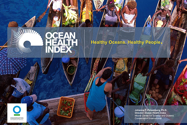Conservation International's Ocean Health Index. Photo Credit: IOOS/NOAA