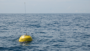buoy floating in open water