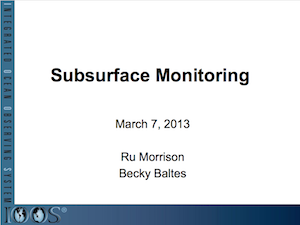 Subsurface Monitoring