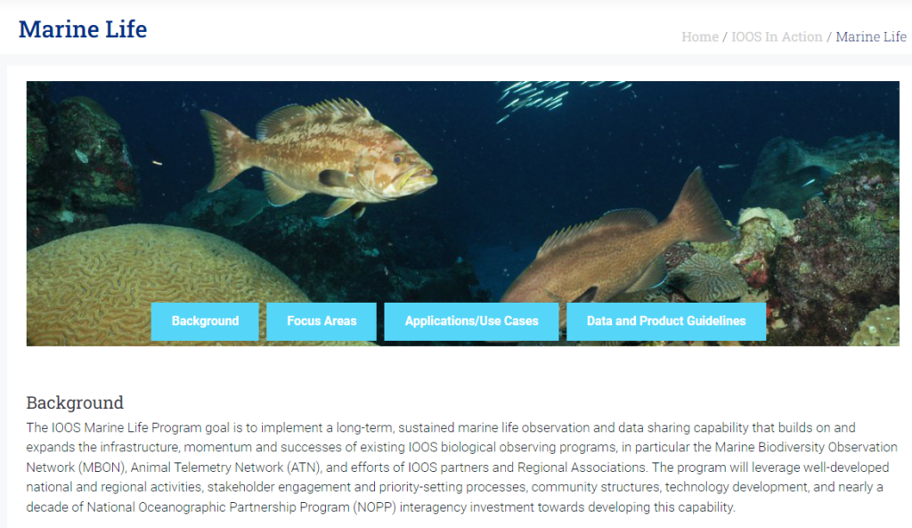 screenshot of Marine Life Portal landing page