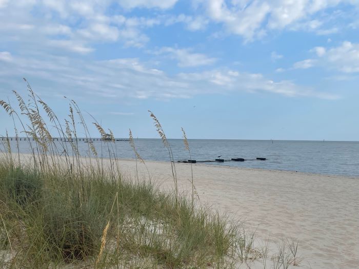 View across sea grass to the Gulf of Mexico along the Mississippi coast.