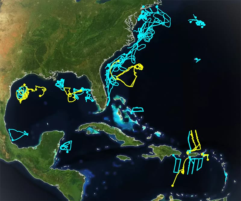 Hurricane season operations map for 2023