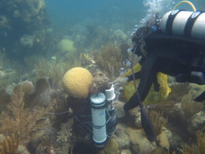 a diver placing a cylindrical alkalinity sensor in a coral reef. 